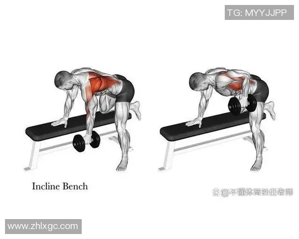 女性哑铃练背动作全解析打造完美背部线条的健身指南